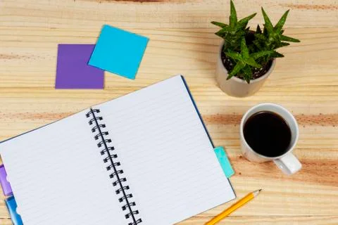 Open note book on a table with a potted cactus Foto stock