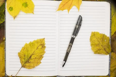 Open notebook and pen surrounded by bright yellow leaves Stock Photos