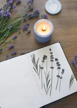 Open notebook blank page herbarium dried lavender flower burning candle wooden Stock Photos