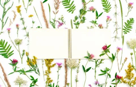 Open notebook with blank space for text on wildflowers background Stock Photos