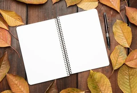 Open notebook with blank white sheets and yellow cherry leaves Stock Photos