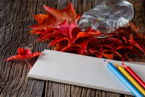 Open notebook. Fall on leaves on weathered table Foto stock