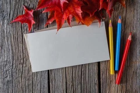 Open notebook. Fall on leaves on weathered table. copyspace Foto stock