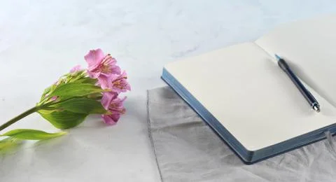 Open notebook with flowers on white marble Stock Photos