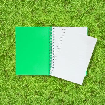 Open notebook on green leafs background Stock Illustration