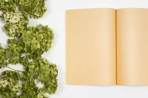Open notebook  lie on a background with a green branch closeup Stock Photos