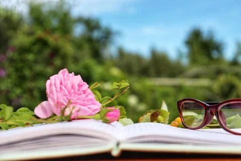 An open notebook lies on a table in nature Stock Photos