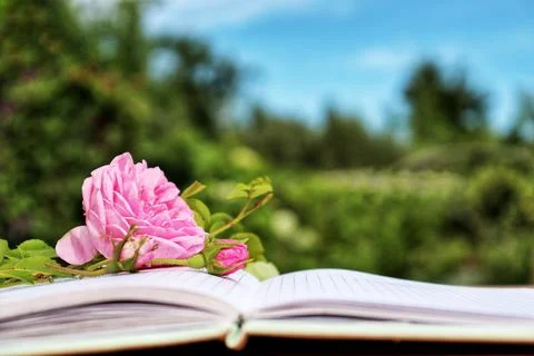 An open notebook lies on a table in nature Stock Photos