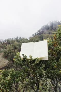 Open notebook with lined pages perched on a green bush Stock Photos