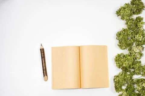 Open notebook next to a pencil lie on a background with a green branch. Copy  Stock Photos