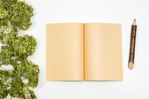 Open notebook next to a pencil lie on a background with a green branch Stock Photos
