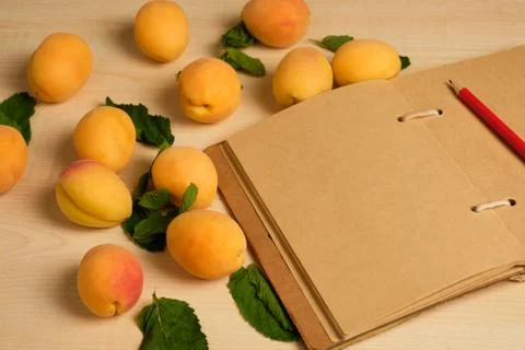 An open notebook with a red pencil in the middle and apricots lie on a wooden Stock Photos