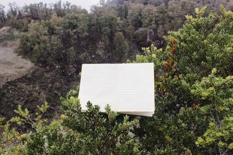 Open notebook rests on lush green foliage in a natural outdoor setting Stock Photos