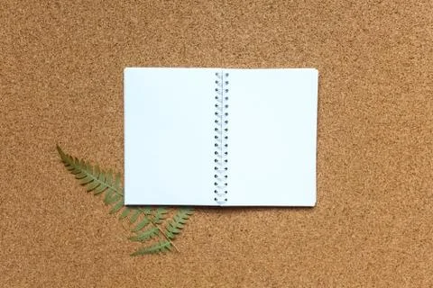 Open notebook on a spring on a cork background with a fern Stock Photos