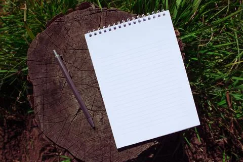 Open notebook on a tree,spiral notepad with blank sheet,pencil and notebook, Stock Photos
