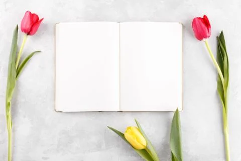 Open notepad and spring flowers Stock Photos