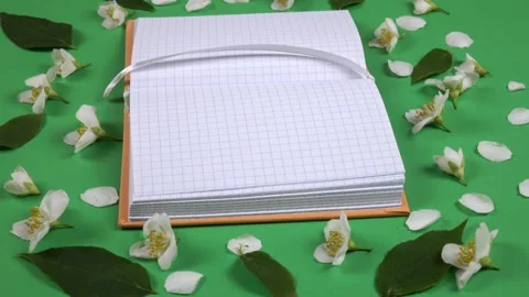 An open notepad with checkered sheets lies on a green background Stock Footage 335881436