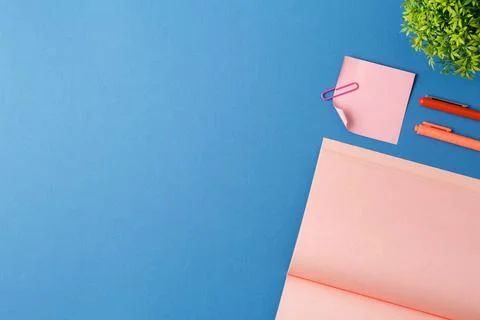 Open notepad with pen, note sheet and plant. Stock Photos