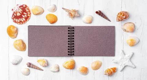 Open notepad with sea shells on white wooden background Stock Photos