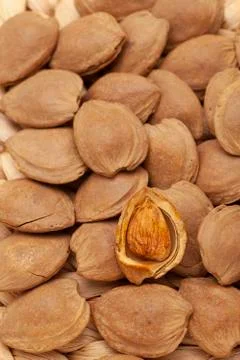 Open nuts on the table with clean and bright background Foto stock