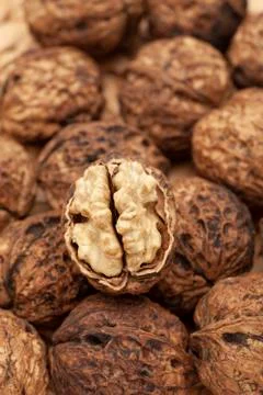 Open nuts on the table with clean and bright background Stock Photos