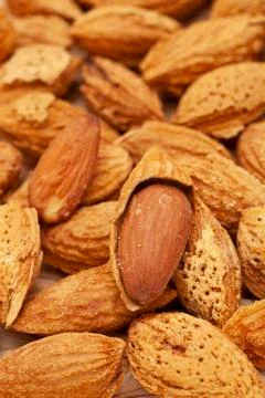 Open nuts on the table with clean and bright background Foto stock