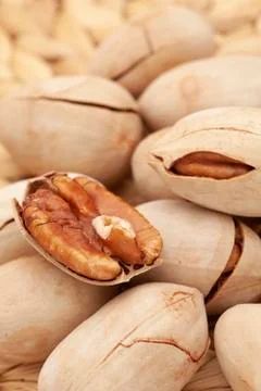 Open nuts on the table with clean and bright background Stock Photos