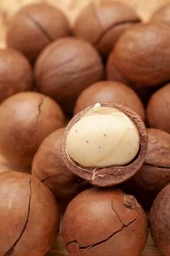 Open nuts on the table with clean and bright background Stock Photos