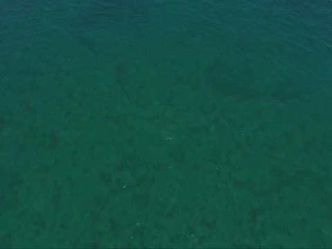 Open ocean deep blue Stock Footage 78544146