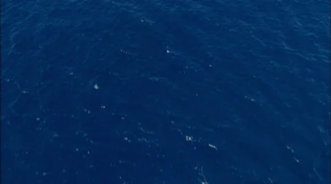 Open Ocean Stock Footage 39888001