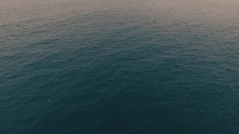 Open Ocean Slow Drone Move with Seagulls Stock Footage 101981661