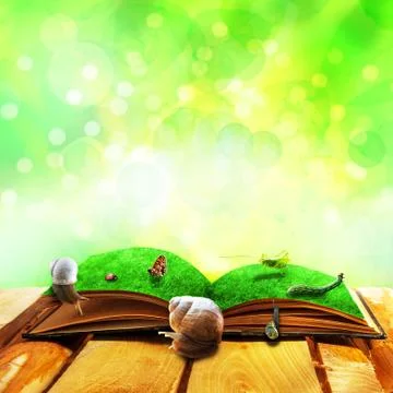 Open old book magic animals Stock Photos
