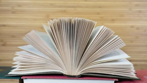 Open old book on natural background. Video stock 266649337