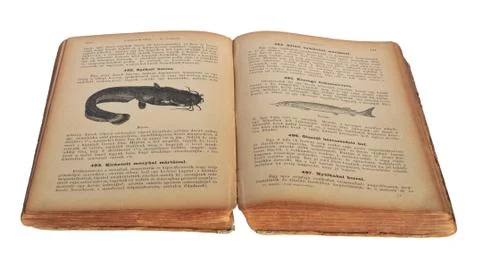 Open old cookbook Stock Photos