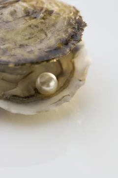 Open oyster shell with pearl Stock Photos