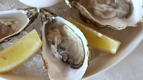 Open oysters on plate with slice of lemon on ice cubes. Stock Footage 274124343