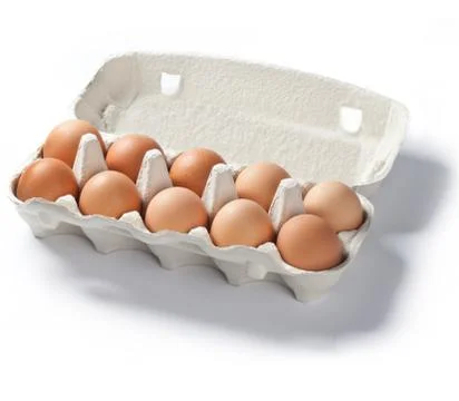 Open pack of ten fresh eggs on white Stock Photos