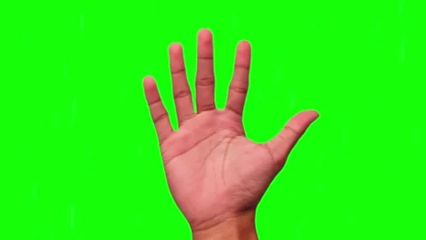Open palm faces forward Stock Footage 295538111
