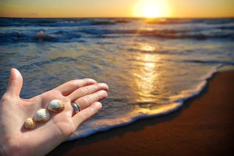 Open palm with sea shells on a beach at sunset 库存照片
