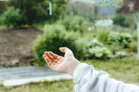 Open palms during the rain, close-up. Hands collect water during the rain. en Stock Photos