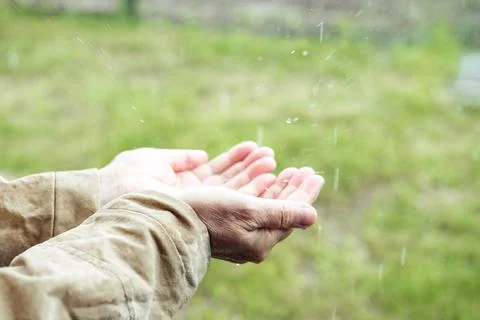Open palms during the rain, close-up. Hands collect water during the rain. en Stock Photos
