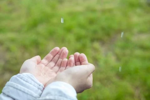 Open palms during the rain, close-up. Hands collect water during the rain. en Foto stock
