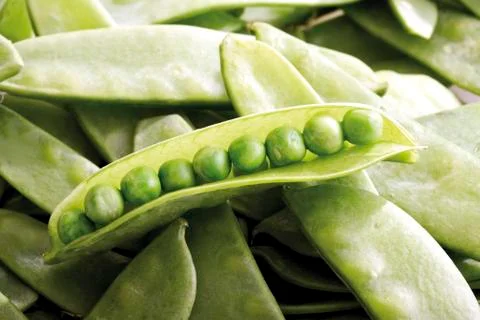 Open pea pod, close-up Stock Photos