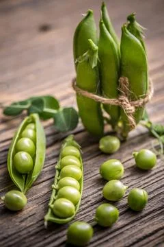 Open pea pod Stock Photos