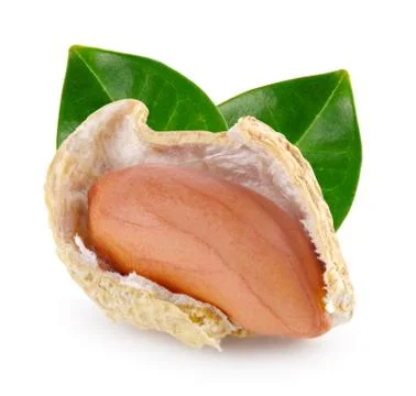 Open peanut pod with nut and green leaves Stock Photos
