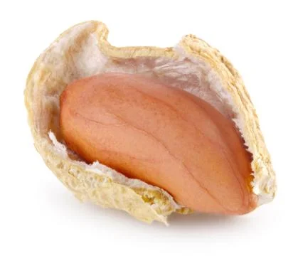 Open peanut pod with nut Stock Photos
