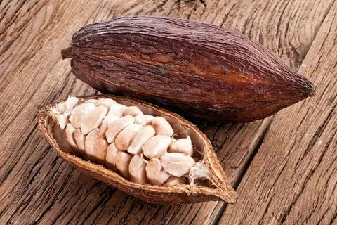 Open peanut shell filled with peanuts and a purple shell Stock-Fotos