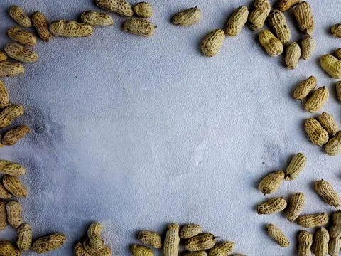 Open peanuts shot macro in studio, white wall texture background Stock Photos