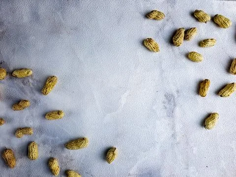 Open peanuts shot macro in studio, white wall texture background Stock Photos