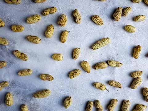 Open peanuts shot macro in studio, white wall texture background Stock Photos